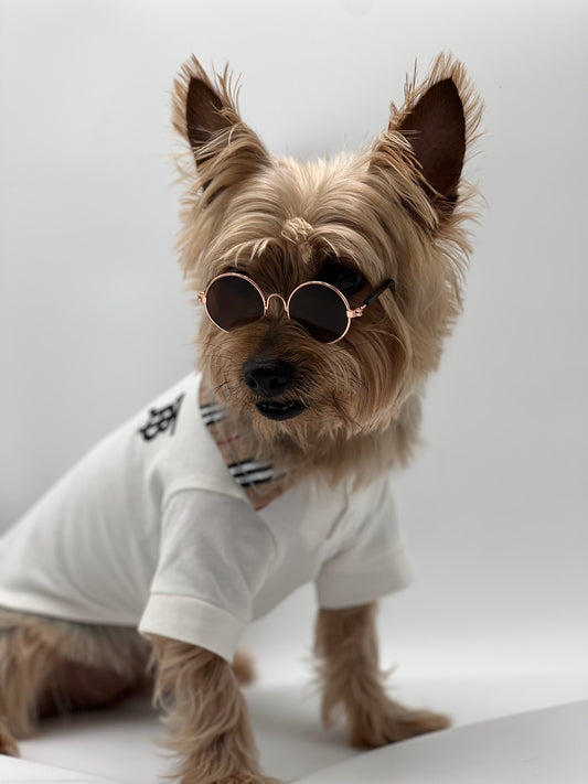 Designer White Polo with Plaid Collar