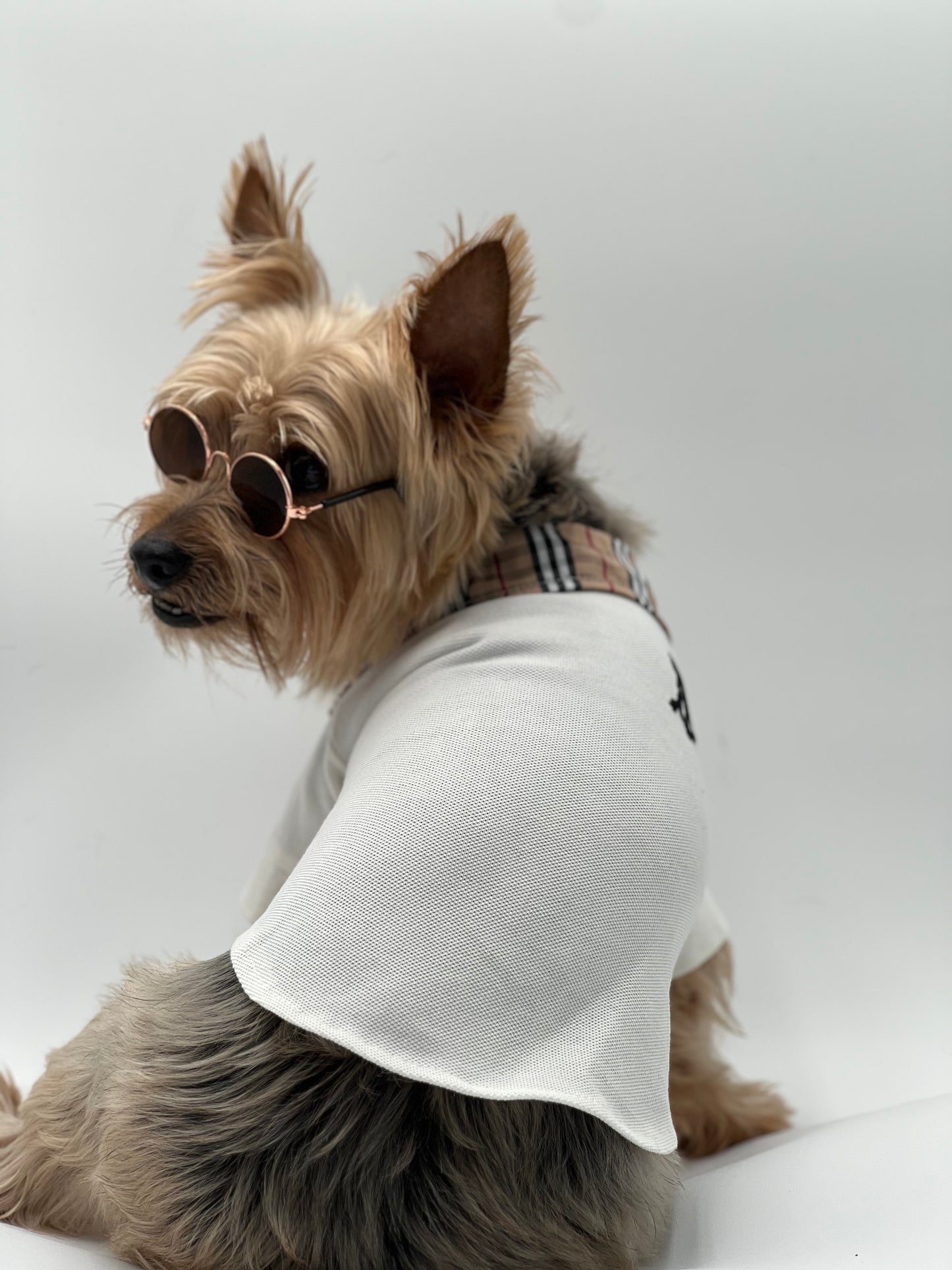 Designer White Polo with Plaid Collar