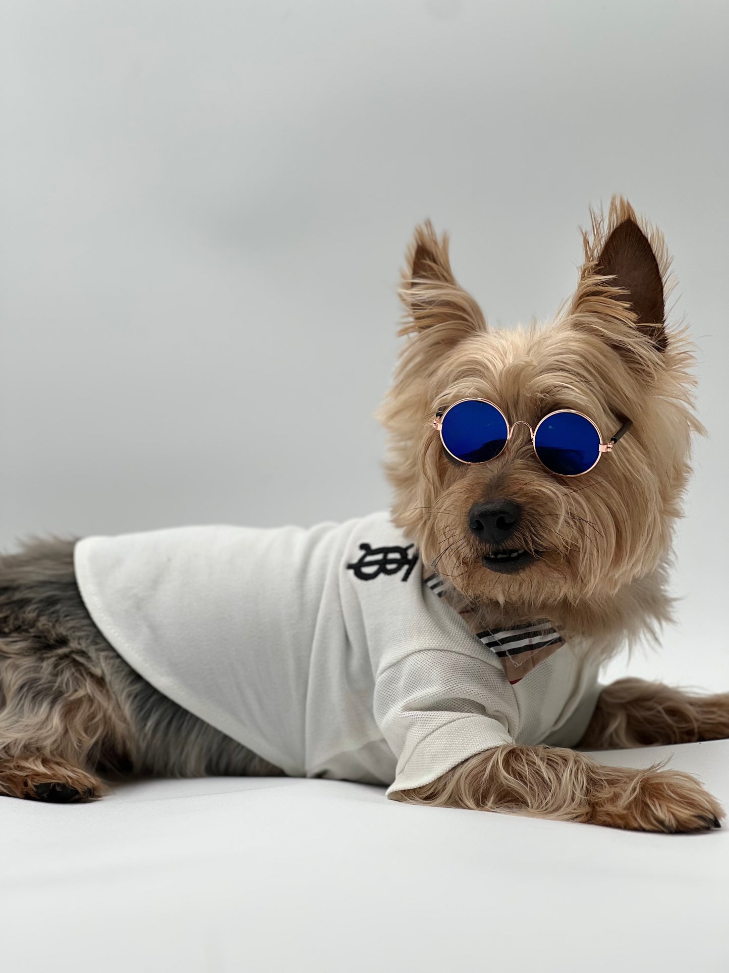 Designer White Polo with Plaid Collar