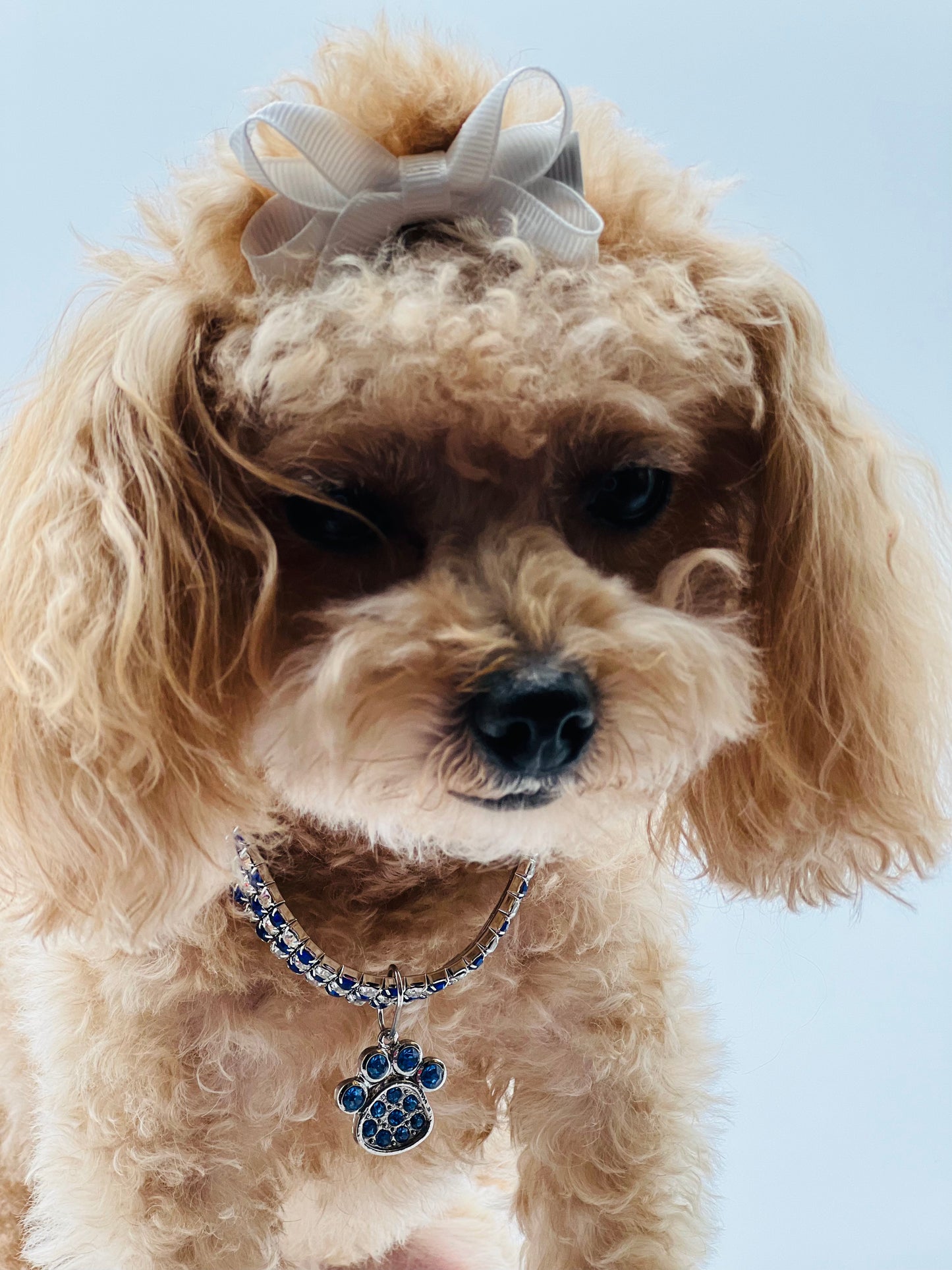 Sparkly Paw Charm Necklace